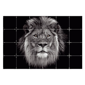 Fototegels Lion kunststof | Orangewallz