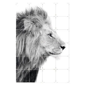 Fototegels Lion Side kunststof | Orangewallz