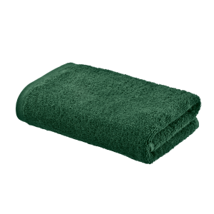 PARKSIDE Handdoek 100 x 50 cm (Groen)