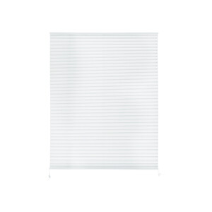 LIVARNO home Plissé gordijn 100 x 130 cm (Wit)