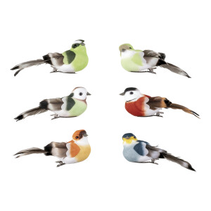 LIVARNO home 6 Decoratieklemmen (vogels naturalistisch kleurrijk)