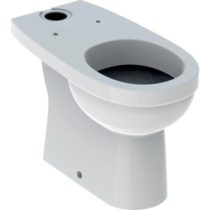 Geberit 300 Comfort duoblokpot-49 verhoogd +6cm diepspoel 35.5x69cm AO wit s8101400000g