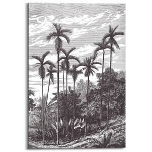 Houtprint Charcoal Palms | Orangewallz