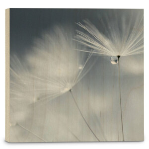 Houtprint Dewdrop Dandelion | Orangewallz