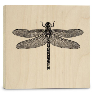 Houtprint Dragonfly | Orangewallz
