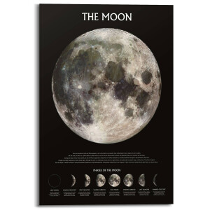 Houtprint The Moon Phases | Orangewallz