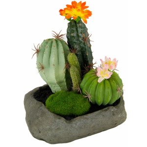 I.GE.A. Kunstplant Cactussen (1 stuk)