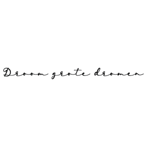 Muursticker Droom Grote Dromen | Label2X