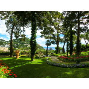Papermoon Fotobehang Capri Island Garden Vliesbehang, eersteklas digitale print