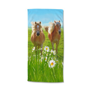 Strandlaken Horses | Good Morning