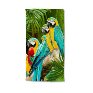 Strandlaken Parrots | Good Morning