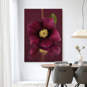Urban Cotton Wandkleed 'De Elegantie Van De Kerstroos' 145 x 190cm in Frame - black