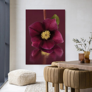 Urban Cotton Wandkleed 'De Elegantie Van De Kerstroos' 80 x 110cm in Frame - black