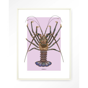 Urban Cotton Wandkleed 'Langosta' 110 x 145cm in Floating Frame - off white