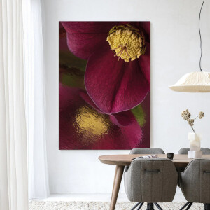 Urban Cotton Wandkleed 'Weerspiegeling Van Een Kerstroos' 110 x 145cm in Frame - black