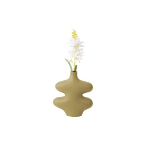 Vaas Organic Curves | Present Time