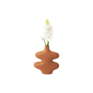 Vaas Organic Curves | Present Time