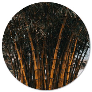 Wanddecoratie cirkel Bamboo | Label2X