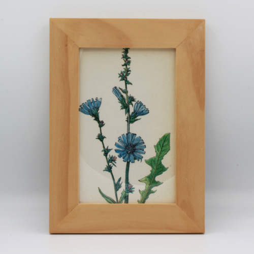 Fotolijsten met houten rand inclusief botanische print afbeelding 3