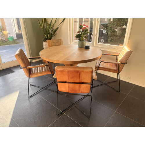 Eetkamerstoelen metalen frame afbeelding