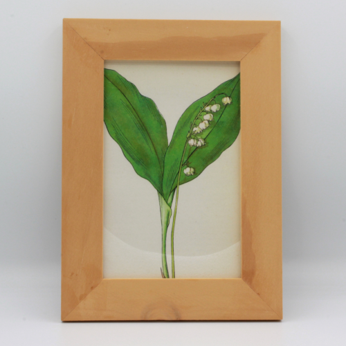 Fotolijsten met houten rand inclusief botanische print afbeelding 2