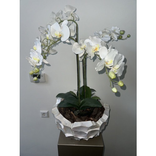 Zuil pilaar met schelpenvaas en orchidee afbeelding 3