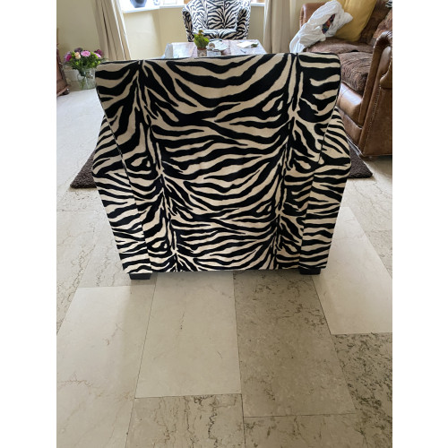Zebra fauteuil afbeelding